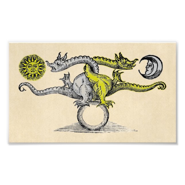 Gold & Silver Dragon Symbol Photo Print (Front)