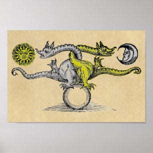 Gold & Silver Dragons Poster