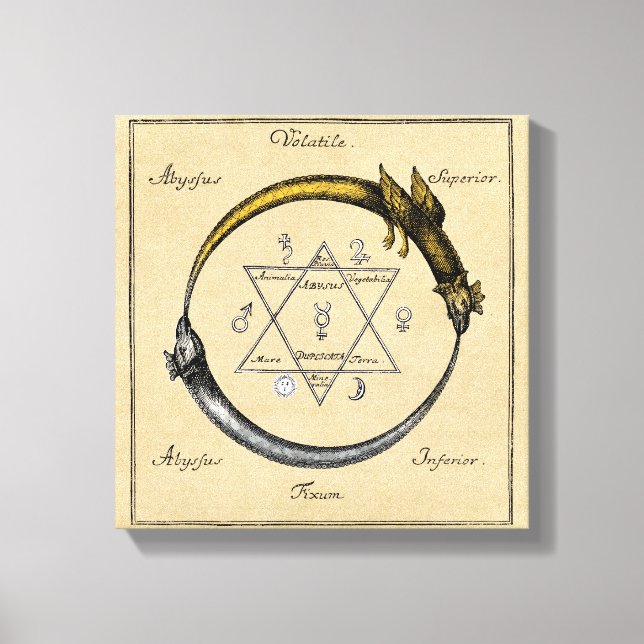 Gold & Silver Ouroboros Symbol Canvas Print (Front)