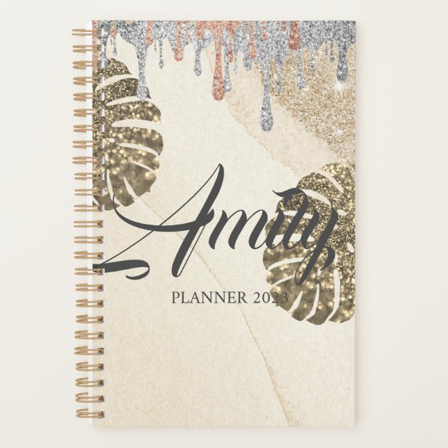 Gold Silver Sparkling Planner (Front)