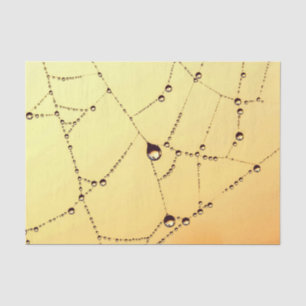 Gold spiderweb elegant tissue paper