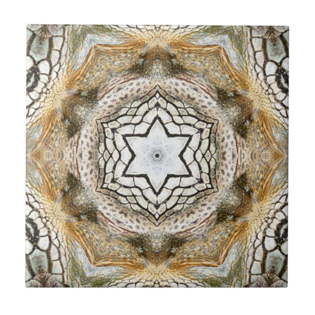 Gold Star Geometric Nature Ceramic Tile (Front)