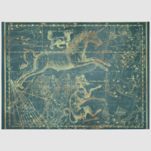 Gold Star Map Series Design 28 Tissue Paper