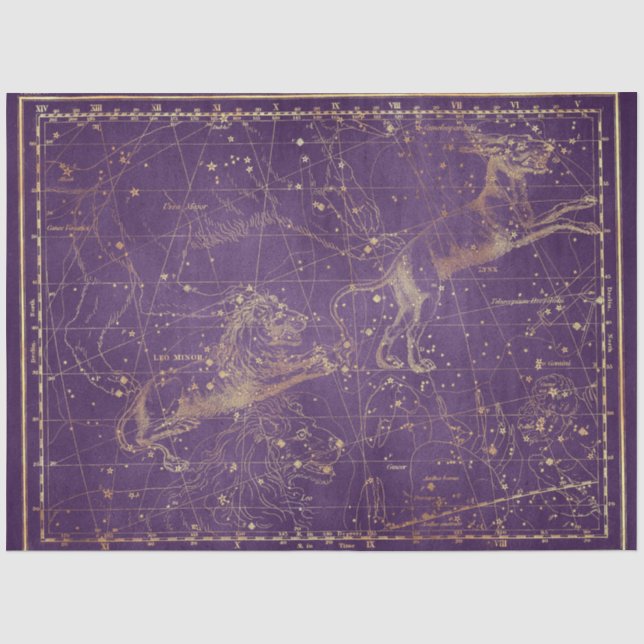 Gold Star Map Series Design 5 Tissue Paper (Front)