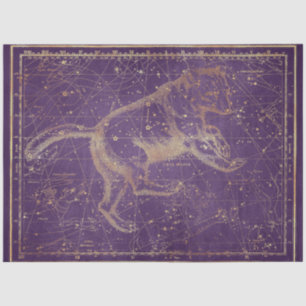 Gold Star Map Series Design 7 Tissue Paper