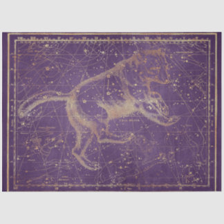 Gold Star Map Series Design 7 Tissue Paper