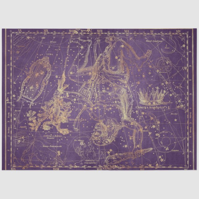 Gold Star Map Series Design 9 Tissue Paper (Front)