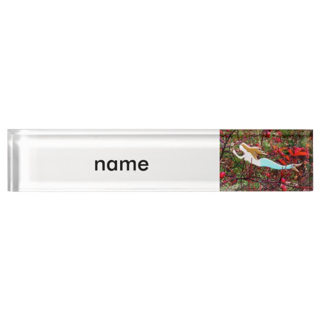 gold star mermaid nameplate (Front)