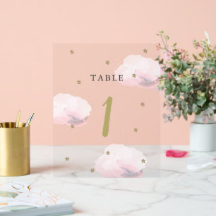 Gold Star & Pink Cloud Baby shower Numéro de table