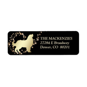 Gold Star Swirl Bernese Mountain Dog