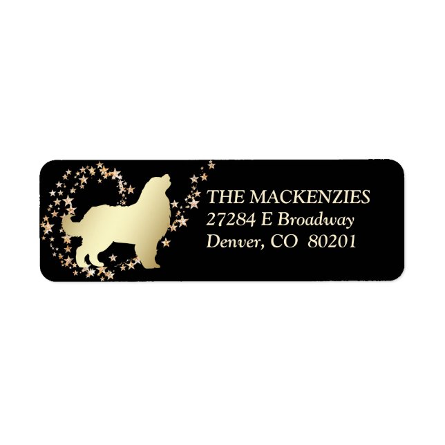 Gold Star Swirl Bernese Mountain Dog (Front)