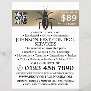 Gold Strip - Black Cockroach - Pest Control Flyer