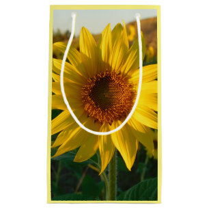 Gold Sunflower Small Gift Bag