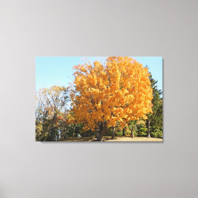 Gold Tree in Autumn Canvas Print (Front)
