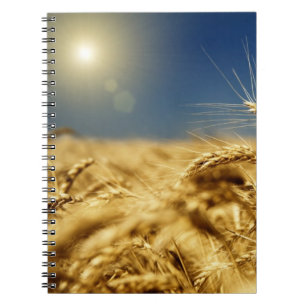 Gold wheat and blue sky with sun notebook