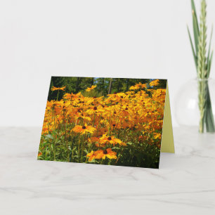Gold yellow flowers, garden floral, nature scene card