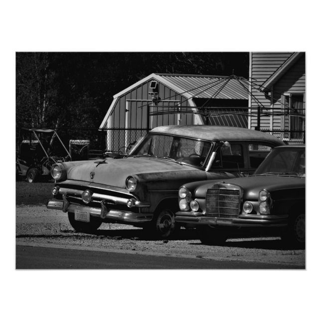 "Golden Agers" Photo Print (Front)