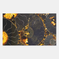 Golden Amber black Nautilus shell pattern, fossil 
