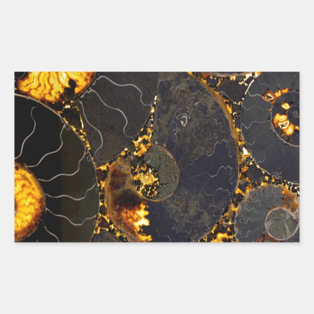 Golden Amber black Nautilus shell pattern, fossil  Sticker (Front)