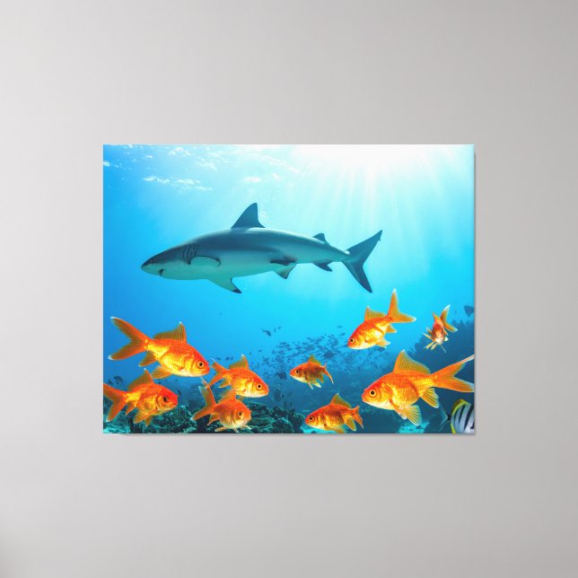 Golden Among Sharks Canvas Print (Front)