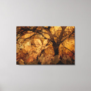 Golden and Brown Leaves   Merritt Island, FL Canvas Print
