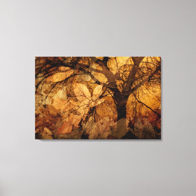 Golden and Brown Leaves | Merritt Island, FL Canvas Print (Front)