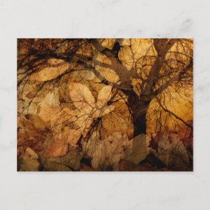 Golden and Brown Leaves   Merritt Island, FL Postcard