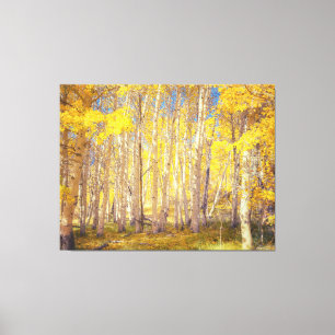 Golden Aspen Forest Canvas Print