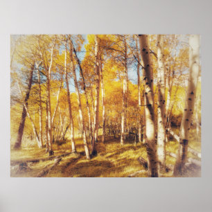 Golden Aspen Forest Landscape Poster