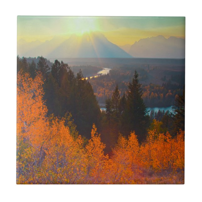 Golden Aspens Above Snake River At Sunset Tile (Front)