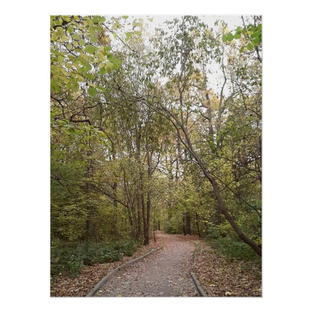 Golden Autumn Forest Path Poster (Front)