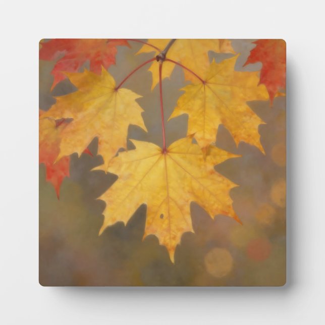Golden Autumn Maple Leaves Plaque (Front)