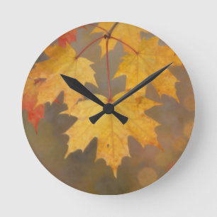 Golden Autumn Maple Leaves Round Clock