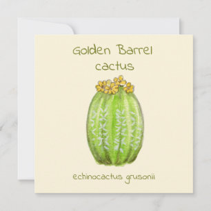 Golden Barrel cactus greeting card