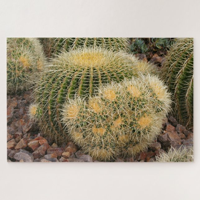 Golden barrel cactus jigsaw puzzle (Horizontal)