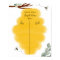 Golden Bee & Eucalyptus Gender Reveal Voting