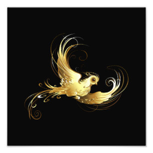 Golden Bird on Black Background Photo Print