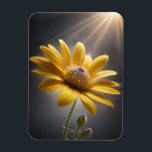 Golden Bloom – Yellow Flower Macro Photography  Magnet<br><div class="desc">Celebrate the beauty of nature in its most radiant form with this striking macro photograph of a golden yellow flower illuminated by warm sunlight. Capturing the intricate textures of each petal and the gentle sparkle of pollen, this print adds a sense of optimism and energy to any space. Perfect for...</div>