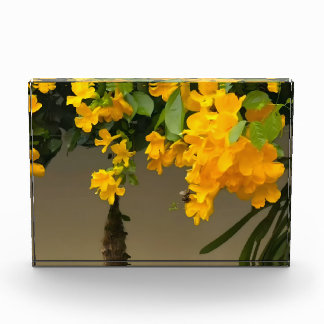 Golden Blossom Beauty Photo Block