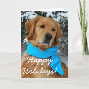 Golden Boy Holiday Card
