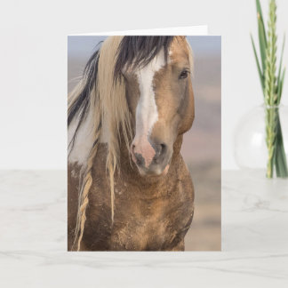 "Golden Boy" Note Card