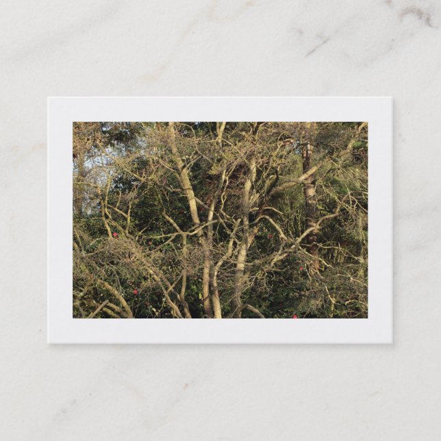 Golden Branches (Bordered) Business Card (Front)