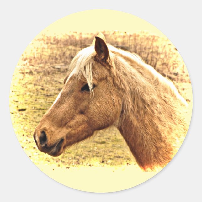 Golden Brown Horse in Sun Animal Stickers (Front)