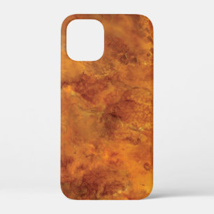 Golden brown marble iPhone 12 mini case