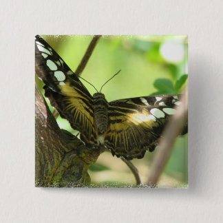 Golden Butterfly Square Pin