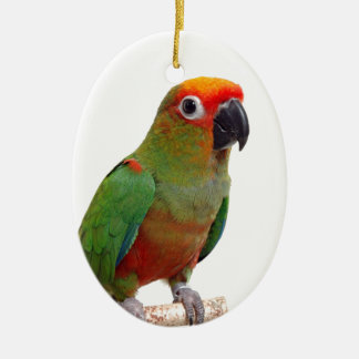 Golden-capped conure ceramic ornament