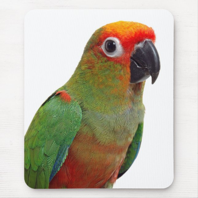 Golden-capped conure mouse pad (Front)