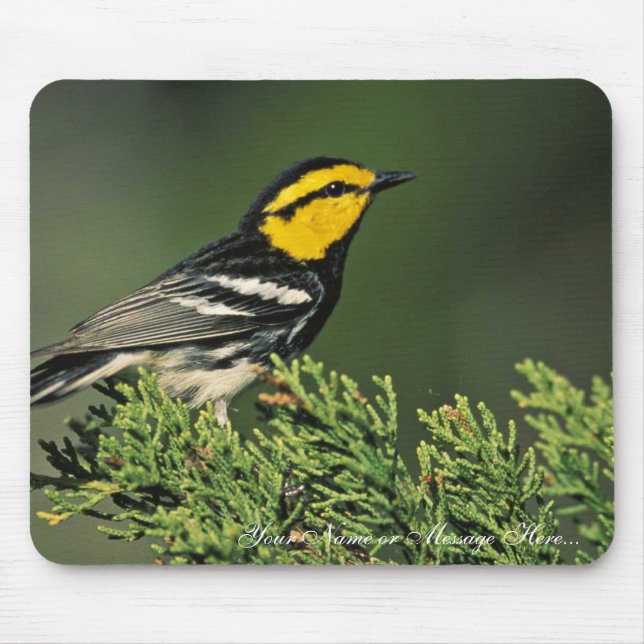 Golden-Cheeked Warbler Mouse Pad (Front)