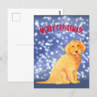 Golden Christmas Doodle  Postcard
