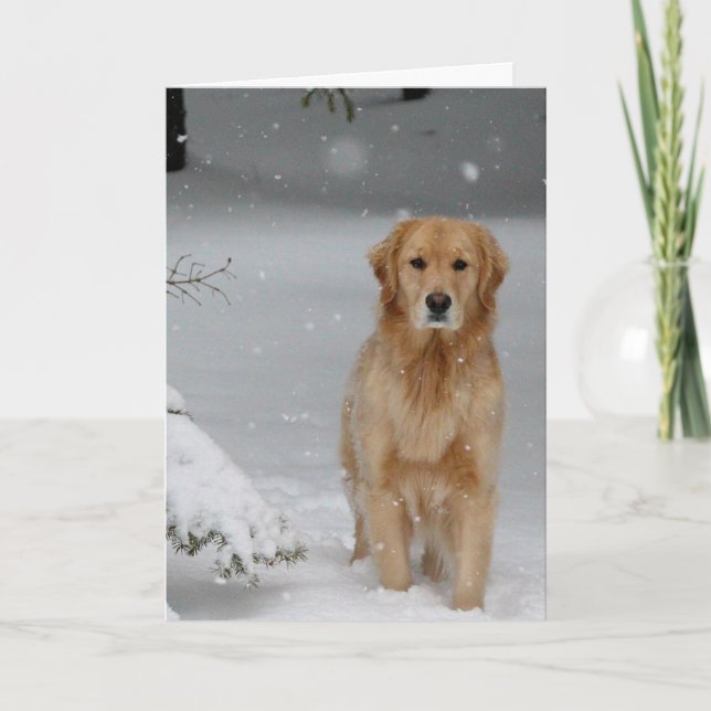 Golden Christmas Holiday Card (Front)